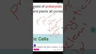٢٧ كانون الأول ٢٠٢٥