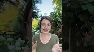 Por qué regresé de México a Polonia? Qué planes tengo con México | Dominika. La Polaca en México