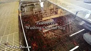 How To Wash A Persian Rug Without Destroying It