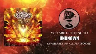OBSERVANTS - UNKNOWN (OFFICIAL)