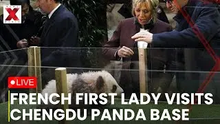 XI - Macron Tour LIVE : Brigitte Macron visits panda godson Yuan Meng during warm trip to Chengdu