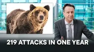 Japan Today Spotlight #32 | Why bear attacks are surging in Japan