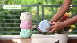 Earth Friendly Oreo 4 inch small pots for indoor | Table Top Planters for Home Decor and Office