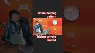 trident company shareholding pattern