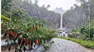 ⚡ LIVE: Rain Quran Recitation - Al Mulk Ismail An Nuri Peaceful