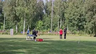 Indy debut i lydnad klass 2 Varberg