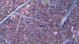 fred extremehunter frost