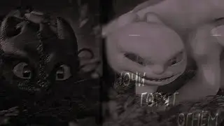 Night Fury | Light Fury // Ночи горят огнём