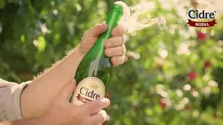 royal fermentacia Bumper ads