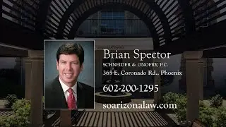 Subchapter V Reorganization: Streamlined Bankruptcy Relief for Small Businesses