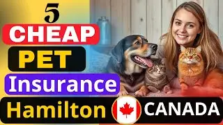 SHOCKING Truth About Affordable Pet Insurance in Hamilton Canada