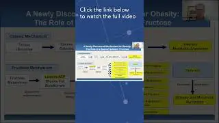 Richard Johnson, MD: Fructose Will Lower Your ATP Level