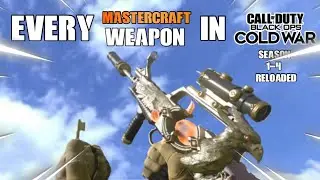 Every Mastercraft Weapon Inspection (Season 1-4) Showcase/Gameplay - Black Ops Cold War/Warzone