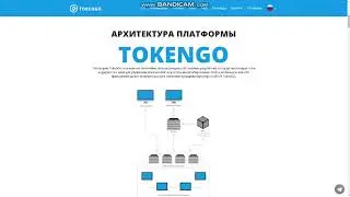 TokenGo ICO Обзор