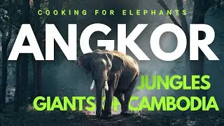 Elephants & Jungle Life, Cambodia( Cooking for elephants ). Elephant Family Documentary