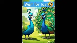 Peacock and peahen funny talk😍😆| #shorts #comedy #fun