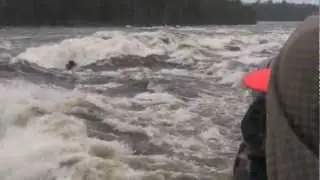 Gladiator Wave - Ottawa River and the Whitewater Grand Prix