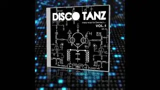 Disco Tanz Vol. 1 🪩💃