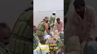 Pakistan Army Rescue & Relief Operation | Pakistan Flood 2025 FACTS & FIGURES