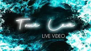 The Move Band - True Love [LIVE]
