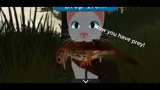 How to hunt in WCUE! (Moblie) ( Bird/fish exampled) (Quick tutorial)