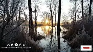 Chamber Music for Lovers of Classical Art for Calming the Mind and Soothing the Spirit