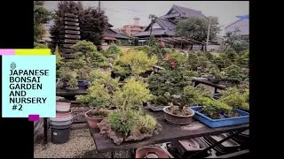 ۞ JAPANESE BONSAI GARDEN AND NURSERY #2  Aug.2021