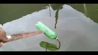 Captura de cobra corredeira na ch&aacute;cara s&iacute;riema. (soltura no pr&oacute;ximo v&iacute;deo)