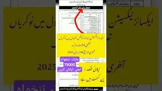 excise and taxation jobs 2025 | how to apply for excise and taxation jobs