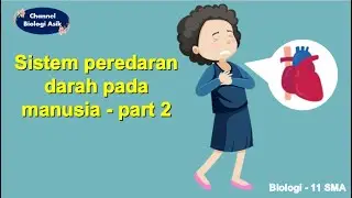 Sistem peredaran darah part 2 - Biologi kelas 11 SMA