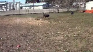 Tritan.AVI