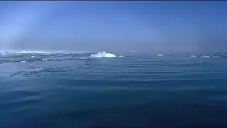 Walrus Attacks Kayak