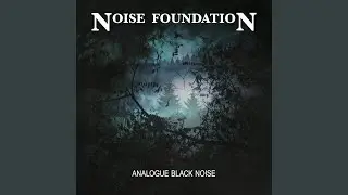 Black Noise on Old 2