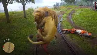 p667 Survival skills in India and China 😱🐕🤯 #shortsvideo , #ytshorts #shortsvideo