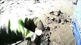 Beach hunt with the simplex ultra...
