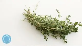 How to Remove Leaves from a Piece of Thyme - Martha Stewart