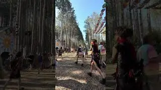 THE MOST AMAZING JOURNEY BEGINS IN SHERWOOD AT ELECTRIC FOREST @electricforest #music #festival