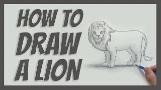 How to Draw a Lion 🦁 | Easy Step-by-Step for Beginners