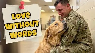 Out of Everyone There&hellip; The Dog Chose Her | Very Emotional Adoption Story