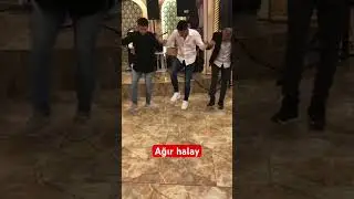 #halay #düğün #keşfet #reels #kars #shortvideo #halaybaşı #halaylar #digor #ağırhalay #kurdish