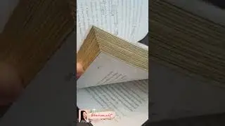 Pirates of the Caribbean Dead men tell no tales Elizabeth Rudnick Обзор книги