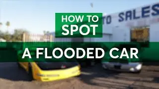 Flooded Cars: How to Spot One Before You Buy | Consumer Reports