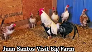 Juan Visit Jeremy Chandler and Blue Ridge Mountains Feeding Time Shape Chicken Coop Outdoor Indoor 
