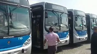 بالفيديو..  محافظة القاهرة تتسلم من هيئة النقل العام 90 أتوبيساً جديداً