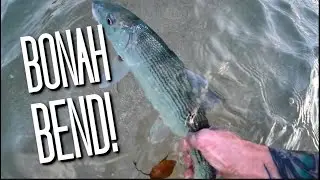 Hawaii FISHING For O'IO with IKA Strips! - Fishing in Hawaii (SICK BENDERS)