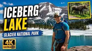 Iceberg Lake Trail | Glacier National Park | Montana