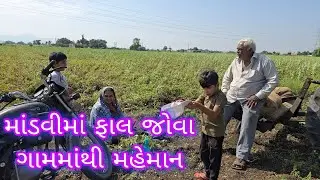 મગફળીની શરૂઆત 🚜 | Peanut Harvesting Begins | Gujarati Daily Vlog
