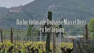D&auml;rf&ouml;r f&ouml;rlorade Domaine Marcel Deiss en hel &aring;rg&aring;ng
