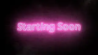 Animated Stream Overlay Package | Pink Neon