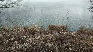 ✨ Icy Landscape ✨ January 1st, 2026